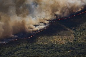 Llamamiento pol&iacute;tico, social y medioambiental frente al drama de los incendios forestales