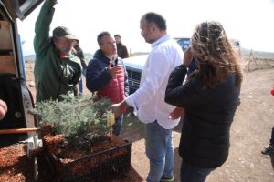 El Gobierno de Canarias logra importantes avances en la restauración de hábitats de las cumbres de Famara