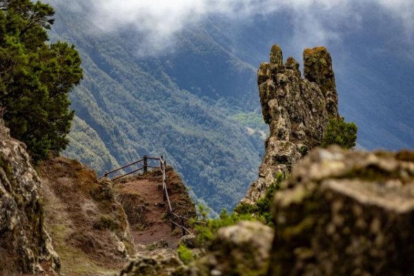 La naturaleza de Canarias inspira proyectos de innovaci&oacute;n social