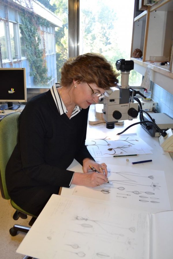 La Real Academia de Bellas Artes ofrece un curso de dibujo botánico a cargo de Marta Chirino Argenta