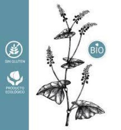 El primer gofio de trigo sarraceno con certificaci&oacute;n de alimento sin gluten y ecol&oacute;gico, sale al mercado en Canarias