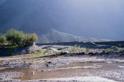 La Gomera: El Cabildo rebaja el PEIN a alerta y mantiene la aplicación de medidas preventivas (Vídeo)