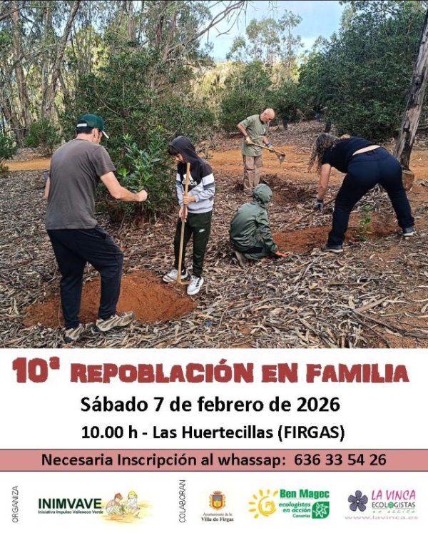 Villa de Firgas: El s&aacute;bado 7 de febrero se llevar&aacute; a cabo una Repoblaci&oacute;n Forestal en Familia en Las Huertecillas