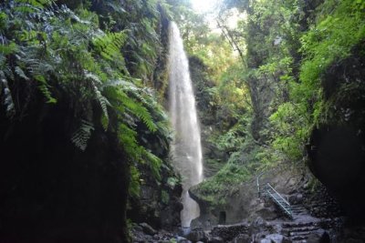 Transición Ecológica respalda la celebración del III Congreso de Reservas de la Biosfera Españolas en La Palma