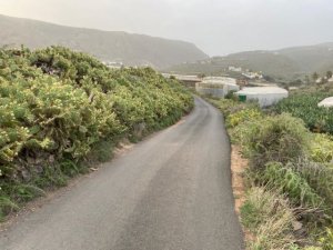 Gáldar: Se desbroza las carreteras del Farragú y del Inciensal para su uso como alternativas por el reasfaltado de la GC-220