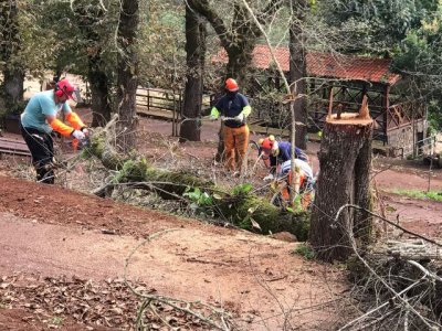El Ayuntamiento de Valleseco ha formado a una veintena de personas en labores de la motosierra