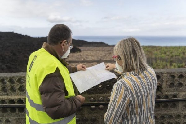 Ayuda a los productores de aguacate y otros frutales tropicales con fincas sepultadas por la lava