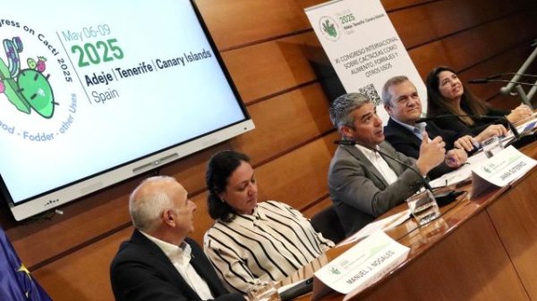 El XI Congreso Internacional de cactáceas abordará en mayo en Tenerife el potencial alimentario de estos cultivos