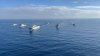 La Armada despliega el Grupo de Combate Expedicionario &lsquo;D&eacute;dalo 24&rsquo; a partir del pr&oacute;ximo 3 de abril