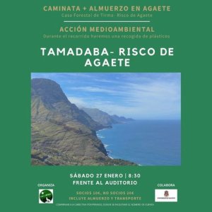 Valleseco: Caminata por Tamadaba y almuerzo en Agaete