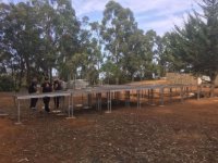 La Finca de Las Huertecillas de Firgas se prepara para el festival 'Soltura'