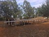 La Finca de Las Huertecillas de Firgas se prepara para el festival &#039;Soltura&#039;