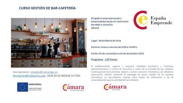 Guía: Curso gratuito de &quot;Gestión de bar cafetería&quot;