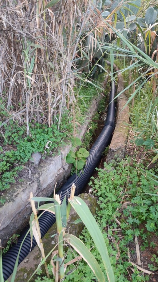 Rechazo ecologista al entubamiento en la zona de La Colomba del Barranco de Los Cernícalos