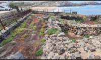 Gáldar: Denuncian que el Yacimiento Arqueológico de Bocabarranco está totalmente abandonado