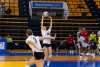 Voleibol Femenino: El CV Sayre Centro Comercial La Ballena cae ante Madrid Chamber&iacute; en un partido complicado