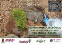 Arucas: El domingo 16 de julio se convoca una acci&oacute;n de riego de las repoblaciones en la zona de Tiro Pich&oacute;n