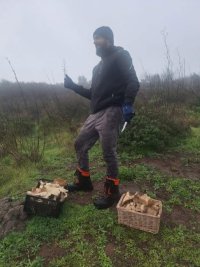 D&iacute;a de recolecci&oacute;n de setas en Valleseco con Isaac Reyes