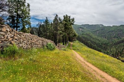 El Ayuntamiento de Gáldar licita el proyecto de acondicionamiento del Camino de Santiago entre Volcanes