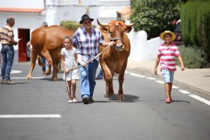 Lanzarote celebra después de tres años sus fiestas de Santa Rosa de Lima