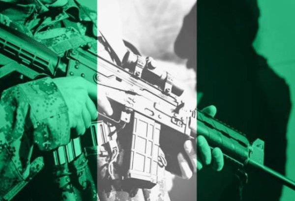 Ninguno de los intereses nacionales objetivos de Nigeria se sirve al invadir N&iacute;ger