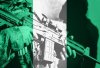Ninguno de los intereses nacionales objetivos de Nigeria se sirve al invadir N&iacute;ger