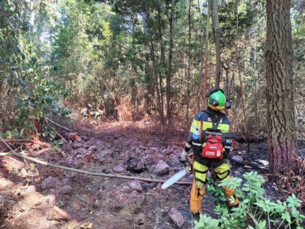 Actualización de la situación del incendio forestal de Tenerife