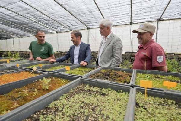 Transici&oacute;n impulsa un Banco de Semillas para preservar la biodiversidad y el patrimonio agr&iacute;cola de El Hierro