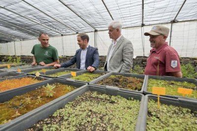 Transición impulsa un Banco de Semillas para preservar la biodiversidad y el patrimonio agrícola de El Hierro