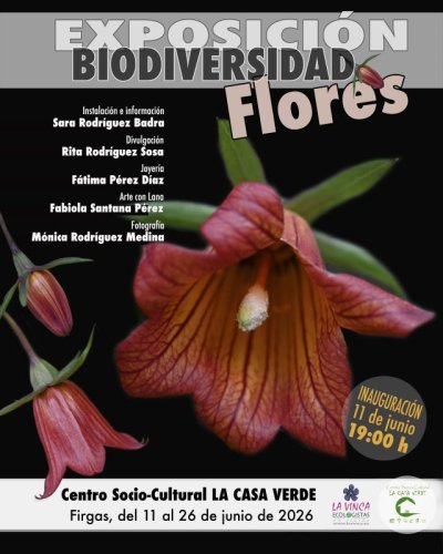 Villa de Firgas: La exposición “Biodiversidad: FLORES”, de Sara Rodríguez, Fabiola Santana, Rita Rodríguez, Fátima Pérez y Mónica Rodríguez se inaugura el jueves 11 de junio en La Casa Verde