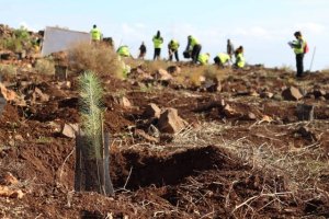 Binter impulsa su compromiso con la sociedad