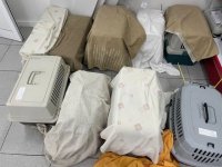 G&aacute;ldar supera los 200 gatos esterilizados y controlados en esta nueva campa&ntilde;a