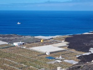 El Gobierno abona un tercer anticipo de 1,8 millones para contribuir a la recuperaci&oacute;n del pl&aacute;tano en La Palma