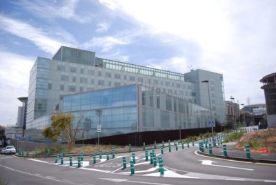 Tenerife acoge el XVIII Curso de la Sociedad Española de Radiología Pediátrica