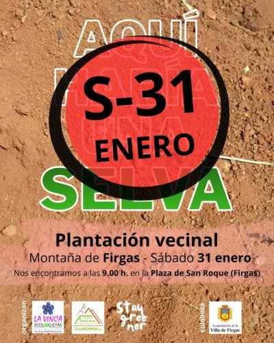 El s&aacute;bado 31 de enero se llevar&aacute; a cabo una nueva repoblaci&oacute;n forestal en la Monta&ntilde;a de Firgas