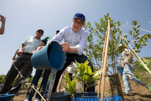 El Cabildo impulsa la creación de un bosque productivo y comestible en Las Palmas de Gran Canaria