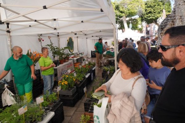 G&aacute;ldar: El Mercado Agr&iacute;cola cierra el a&ntilde;o uniendo a productores, p&uacute;blico y formaci&oacute;n en una ma&ntilde;ana de sabor, tradici&oacute;n y Navidad