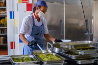 El Gobierno convoca a un centenar de jóvenes agricultores para sumarse al programa Ecocomedores de Canarias