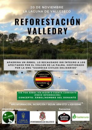 Reforestación en Valleseco a favor de la isla de La Palma