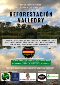 Reforestaci&oacute;n en Valleseco a favor de la isla de La Palma