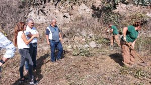 El Cabildo destina 477.000 euros a formar a 16 desempleados en trabajos del &aacute;mbito agrario y de jardiner&iacute;a