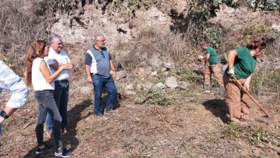 El Cabildo destina 477.000 euros a formar a 16 desempleados en trabajos del &aacute;mbito agrario y de jardiner&iacute;a