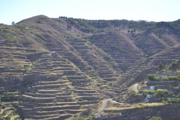 Gáldar invita a descubrir el paisaje y el celaje que se encuentra dentro del espacio del Paisaje cultural de Risco Caído y Montañas Sagradas