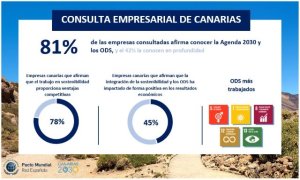 El Gobierno publica el informe de implantaci&oacute;n de los Objetivos de Desarrollo Sostenible en las empresas canarias