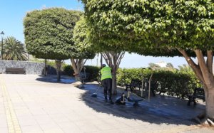 Guía: Los trabajadores del Programa de Empleo Social mejoran la imagen de los espacios públicos