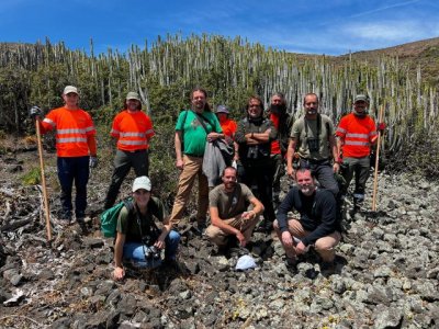 Canarias y Baleares unen esfuerzos para frenar la expansi&oacute;n de serpientes invasoras en las islas