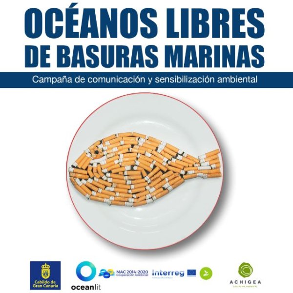 Gran Canaria suma esfuerzos para atajar el problema de las basuras marinas en los archipiélagos oceánicos