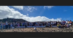 Participativa suelta de pardelas en la costa de Arucas