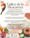 Firgas acoge el 22 de mayo la charla &ldquo;Cultivo de la Bicacarera como fruta de temporada&rdquo; a cargo de la viverista Isabel Hidalgo