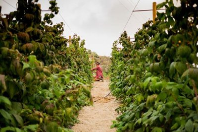La Fundación Pepsico y FADEMUR abren el plazo de inscripción para las becas al emprendimiento rural 2023